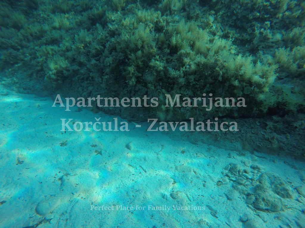 Apartments Marijana Завалатица Экстерьер фото