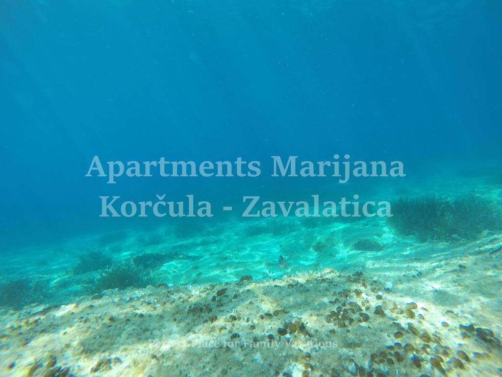 Apartments Marijana Завалатица Экстерьер фото
